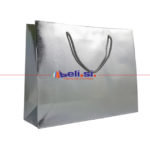 elisi_prodotti_manual_luxgl_argento