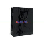 elisi_prodotti_manual_luxgloss_nero